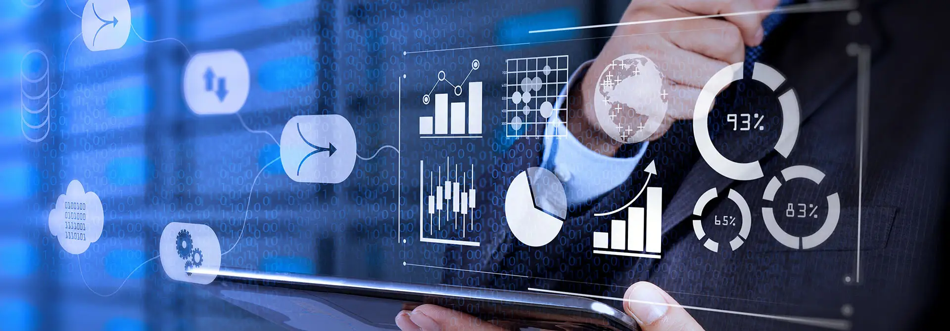 20+ Years of Cultivation