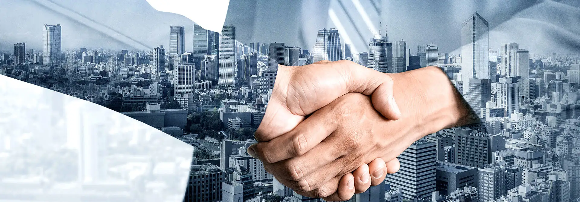 40+Years of Cultivation